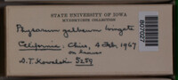 Image Associated With the Occurence